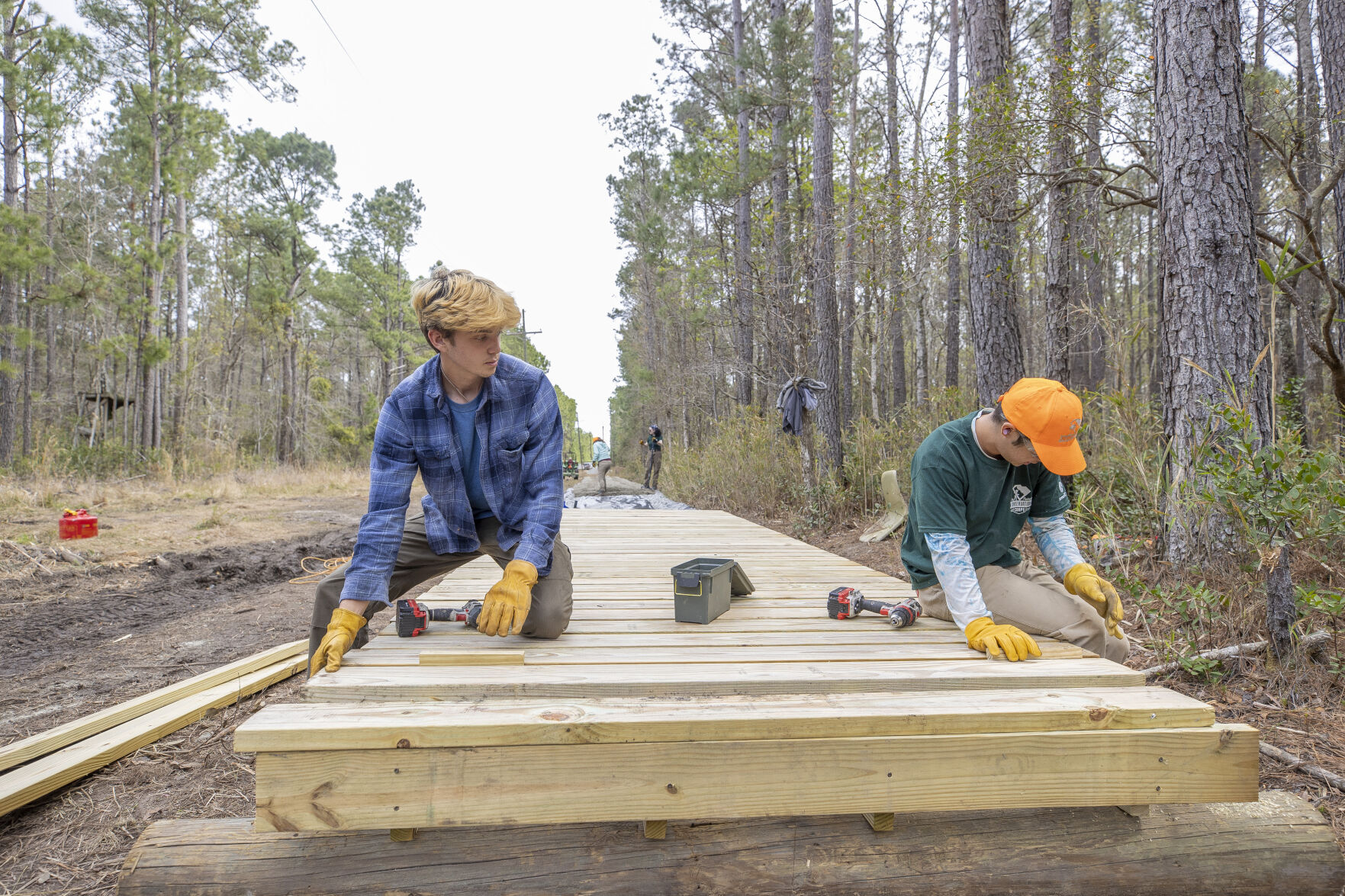 Palmetto Trail_3.jpg